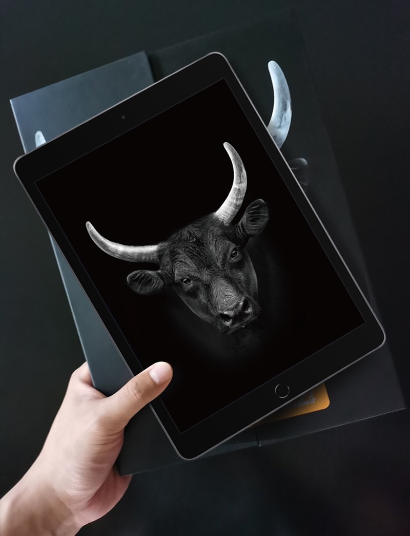 mipow_kingbull_premium_hd_ipad_3