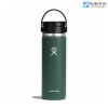 binh-pha-ca-phe-hydro-flask-20-oz-co-nap-flex-sip - ảnh nhỏ 9