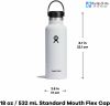 binh-hydro-flask-18-oz-nap-flex-tieu-chuan-standard-flex-cap - ảnh nhỏ 5